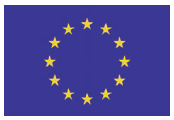 DRAPEAU EUROPÉEN TISSUS 40X60CM